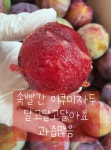 참사과봉숙이네