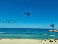 안목26