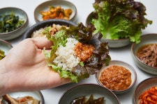 일영대추나무집