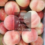 참사과봉숙이네