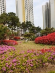 센텀지호공인중개사사무소