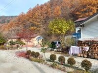 고운향기펜션