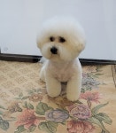 순독