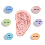 홈닥터스