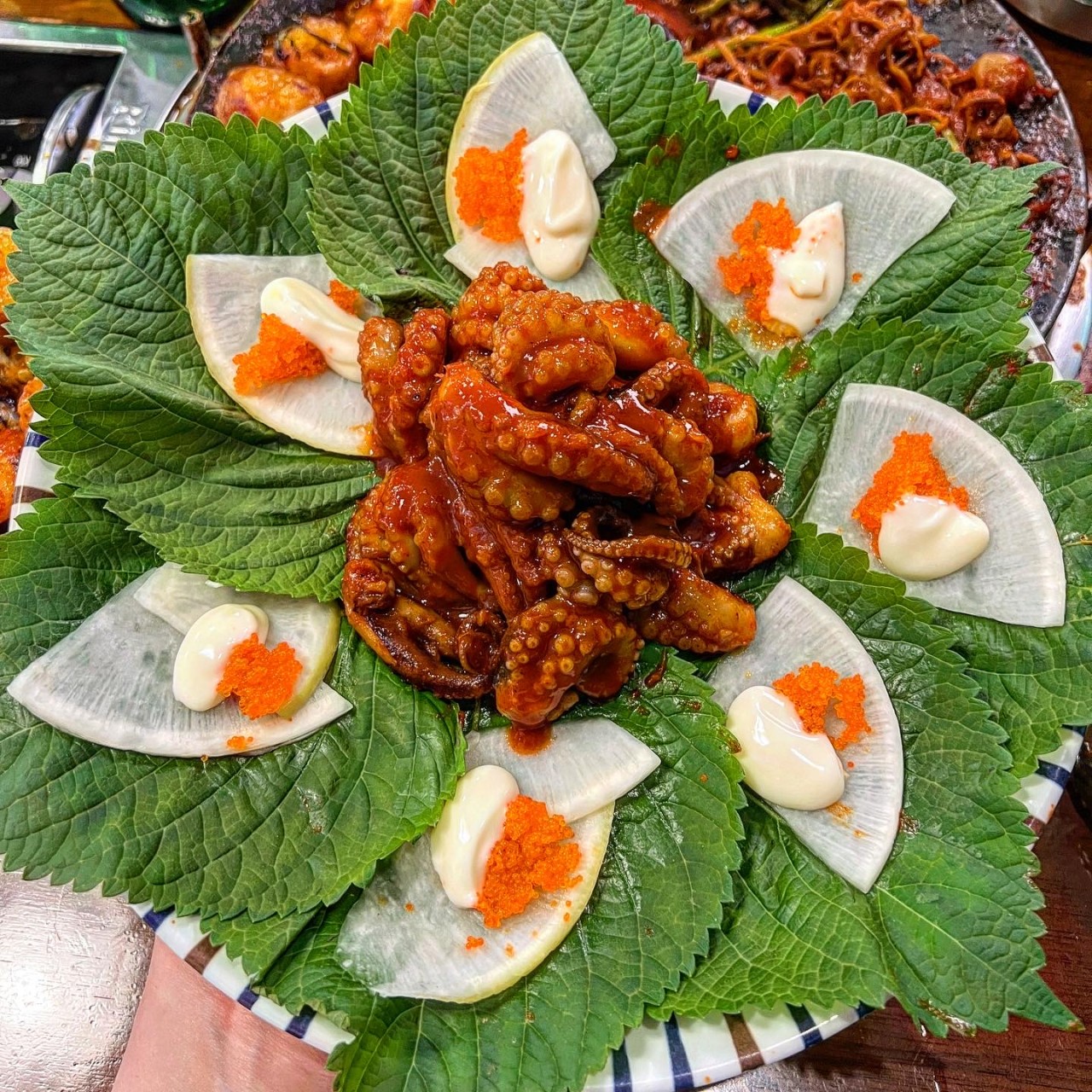 쭈꾸미도사경주 이미지