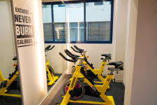 아일랜드피티짐 노형점