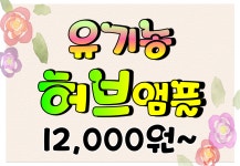 뷰티초이스 머리염색방