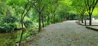 A&J오토캠핑장