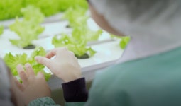 Farm8 팜아카데미