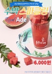 솔솔카페