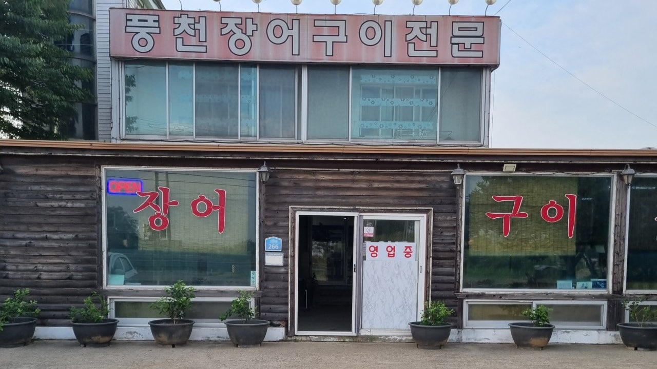 풍천장어