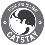 24시 고양이호텔 캣스테이