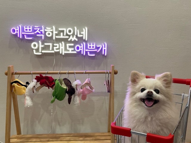 쥬카페