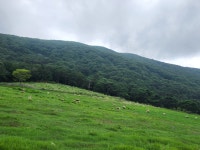 무등산양떼목장