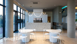 카페 벨루가