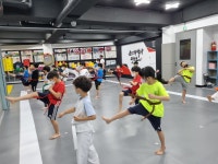올림픽석사태권도