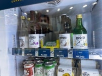 도그마캣 포항유강점