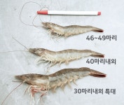 남해수산