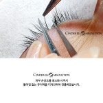 신데렐라아미솔루션 본점