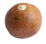 수봉별마루도너츠