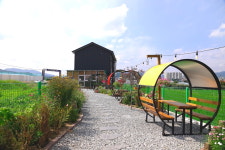 신천도토리새싹요리