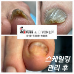 레푸스 잠실역점