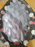 유디티수산