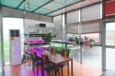 신천도토리새싹요리