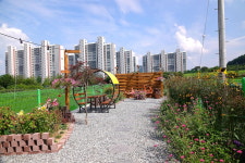 신천도토리새싹요리