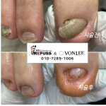 레푸스 잠실역점