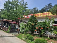 금호식당