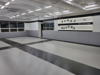 천지인용인대태권도