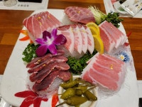 바다애참치