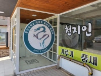 천지인용인대태권도