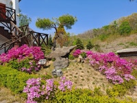 드림레이크펜션