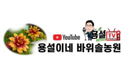 용설바위솔 & RC팩토리