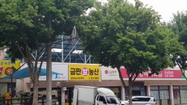 금판영농조합직판장