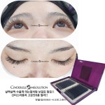 신데렐라아미솔루션 본점