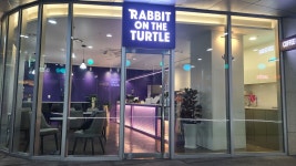 래빗온더터틀