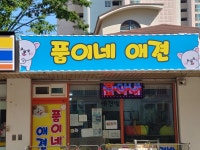 품이네 애견방