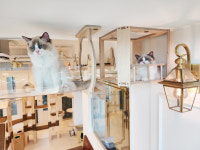 아이조아요양보호소 서울점