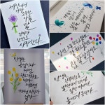 장미란캘리그라피