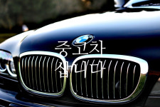 조은모터스 자동차수출