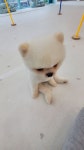 신세개백화점