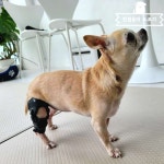 한걸음 더