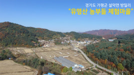 영농조합법인덕은