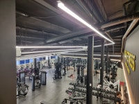 뉴대보스파 / 리갈휘트니스