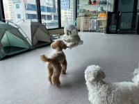 루이야 놀고 자고 GO