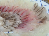 주문진항 유리횟집 물회