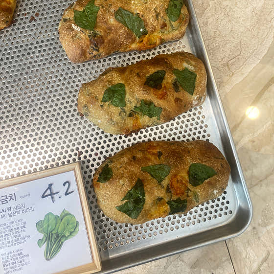 파운드그레도 사진